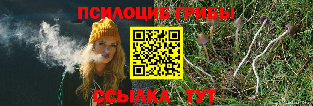 Вязьма  Вход с VPN  А ПВП СОЛЬ кристаллы  Меф  Меф МЯУ МЯУ кристаллы  МДМА  Кокаин  Канабис 