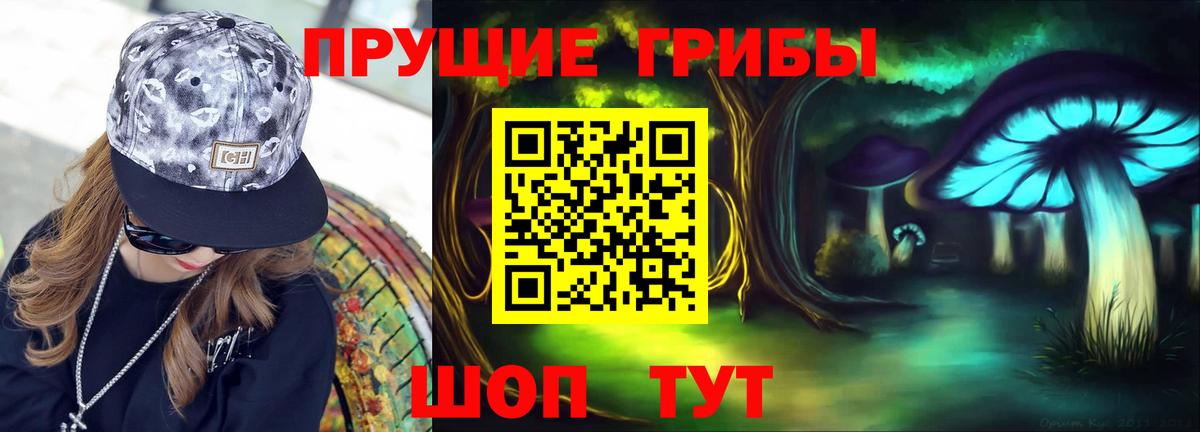 Галлюциногенные грибы мухоморы  Вход с VPN  Вязьма  Галлюциногенные грибы Psilocybine cubensis 